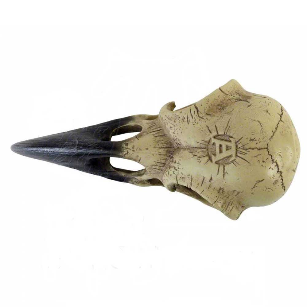 Alchemy - Corvus Alchemica skull Dekorative Figur - Beige